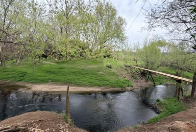 Casă cu 4 camere cu Teren 2038 Mp în Cujmir - 11