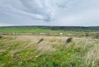 Teren Construcții intravilan de 1500 mp, în Copou - 4