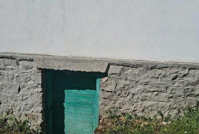 Casă cu Teren 4000 Mp în Central - 1