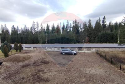 Casă individuală cu 8 camere cu Piscina în Poiana Stampei - 6