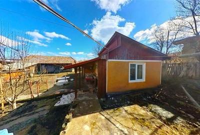 Tur Virtual! Casa traditionala+ domeniu de 4.300 mp,livada, anexe:refugiu apreci - 14
