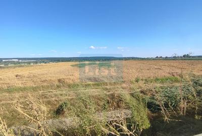 Teren Construcții intravilan de 6000 mp, în Micești - 5