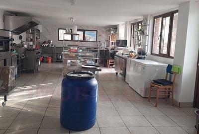 RESTAURANT DE VÂNZARE-COM. OBREJA\SAT IAZ\CARAȘ SEVERIN - 21