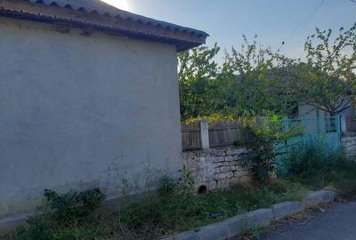 Casă în Enisala - 5