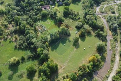 Teren Construcții intravilan de 10000 mp, în Călățele - 11