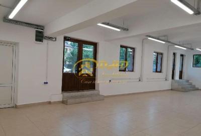 Spatiu comercial Valea Adanca - 6