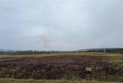 Parcele de teren industrial, Tautii Magheraus - 1