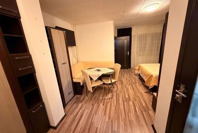 Garsonieră decomandată în Timișu de Jos - 1