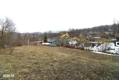 Spațiu comercial, în Provița de Sus