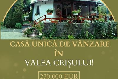 Casă unică de vânzare în Valea Crișului! - 1