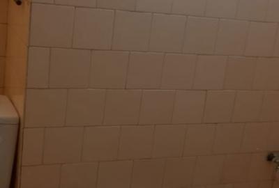 Apartament cu 4 camere în Ultracentral - 5