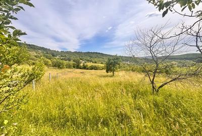 Teren Construcții extravilan de 2200 mp, în Nord - 4