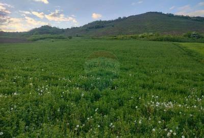 Teren intravilan Tarnaveni - 2