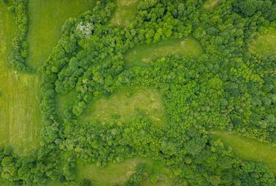 Teren ideal recreere/conectare cu natura/zona Fagaras/achitare in rate - 14