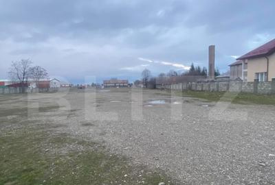 Teren intravilan, multifunc?ional, 8000mp - 7