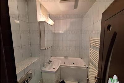 Apartament cu 3 camere decomandat, mobilat în Viziru 3 - 8