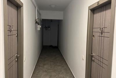 Apartament cu 3 camere semidecomandat, mobilat în Rahova - 22
