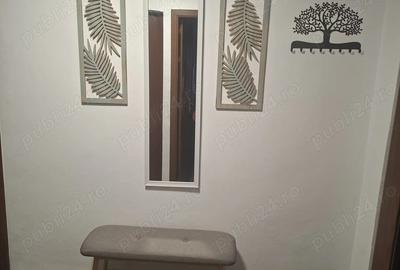 Inchiriere apartament - 5