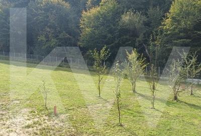 TEREN DE VANZARE  CISNADIOARA COMISION 0 % - 6