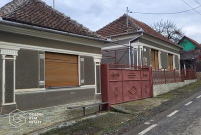 Casa cu 2 corpuri de cladire, oras Lipova - 1