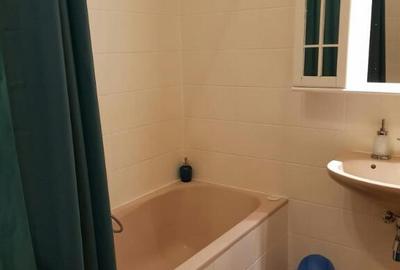 Apartament cu 2 camere de inchiriat in zona Tineretului - 4