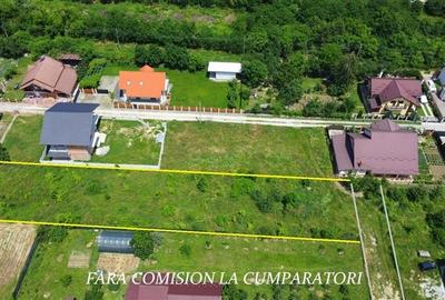 TEREN 2510 MP, PRETABIL DEZVOLTARE REZIDENTIALA - 4