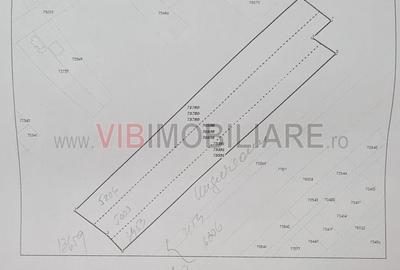 Teren intravilan de 13659 mp, în Răcari - 4