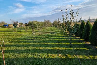 Casă cu 4 camere în Central - 9
