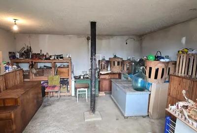 Casă cu 2 camere cu Teren 3080 Mp în Sighișoara - 3