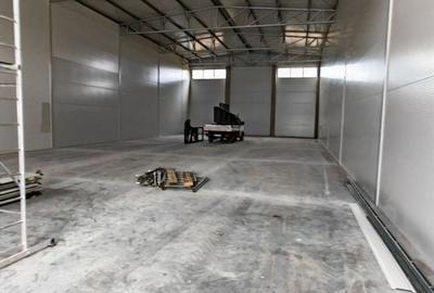 Spatiu depozitare/productie 500 mp, zona Sud - 7