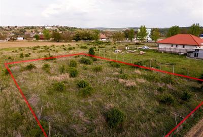 Teren intravilan de 1025 mp, în Paleu - 3