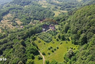 Casă cu Teren 24700 Mp în Copalnic - 11