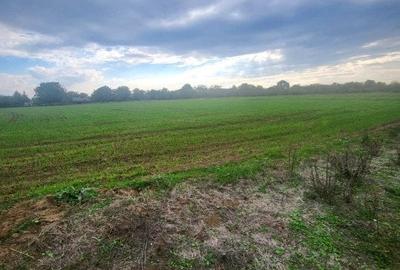 Teren Construcții intravilan de 1800 mp, în Butimanu - 3