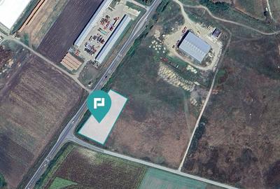 Teren intravilan, 5000 mp în Ciumeghiu, Bihor - 2