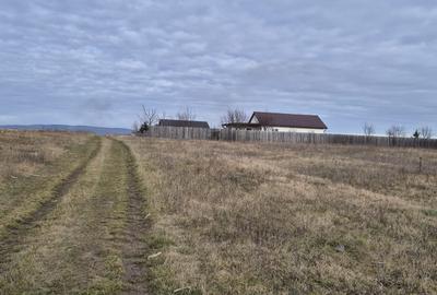 Teren Construcții intravilan de 750 mp, în Bod - 1