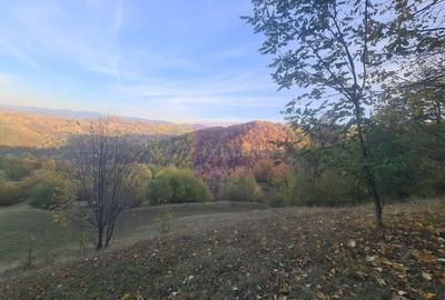 Teren intravilan de vanzare in Telega - 2