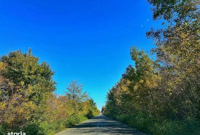 Casă cu 4 camere cu Teren 96 Mp în Lehliu - 7