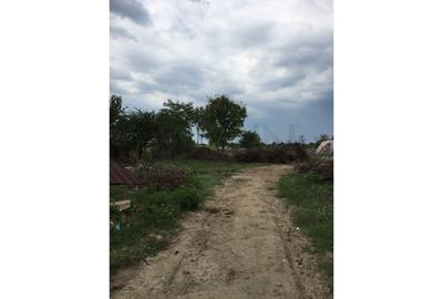 Teren Construcții intravilan de 875 mp, în Ciolpani - 6