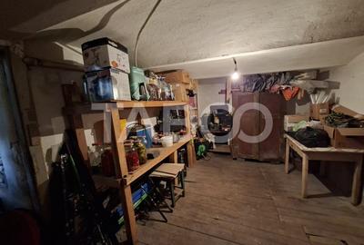 Casa de vanzare str Paltinului nr 28  Vasile Aaron teren liber 170 mp - 19