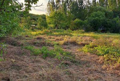 Teren de vanzare in localitatea Paleu, Bihor - 5