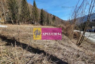 Teren Intravilan de Vanzare Sinaia - 5