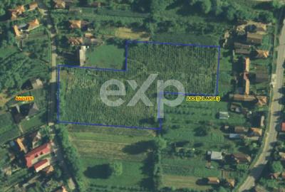 Teren Construcții intravilan de 9464 mp, în Bălilești - 1