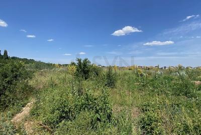 REL4000976 Teren 3415 mp zona Otopeni - Ferme - 5