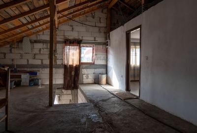 Vanzare imobil cu functiune mixta Ungureni/ Dambovita - 8