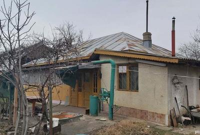 Vand casa cu curte in jud Calara?i - 1