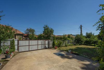 Casa de Maneciu Pamanteni, singur curte - 8