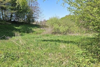 Teren de 3200 mp, în Viștișoara - 4