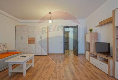 Garsoniera de inchiriat, Subcetate-Sanpetru - 4