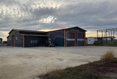 Service camioane ?i auto ?oseaua Suraii hala 400 mp - 8