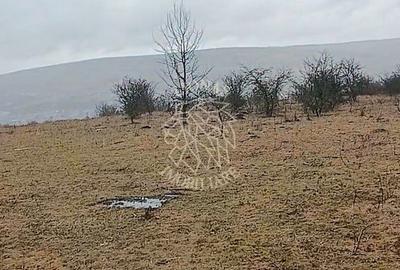 Teren de 10000 mp, în Chinteni - 2